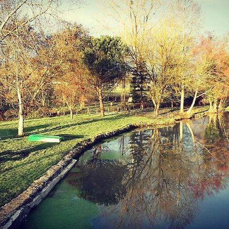 Gite Moulin De Lausseignan Barbaste Екстер'єр фото