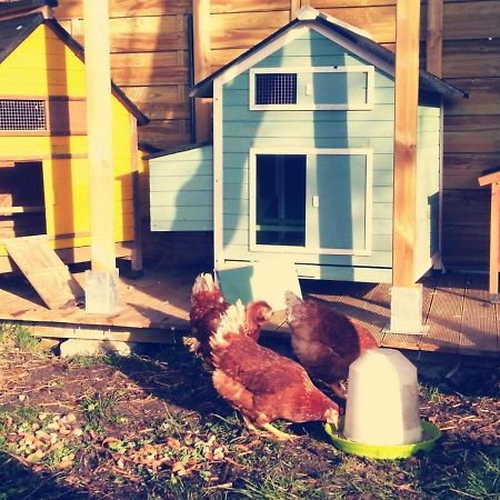 Gite Moulin De Lausseignan Barbaste Екстер'єр фото